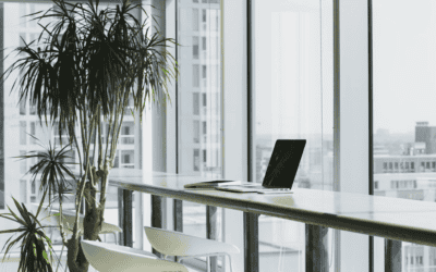 The Complete Guide to Optimizing Your Office for Employee Wellbeing